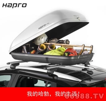 荷蘭Hapro哈勃Roady鹿迪350車頂行李箱