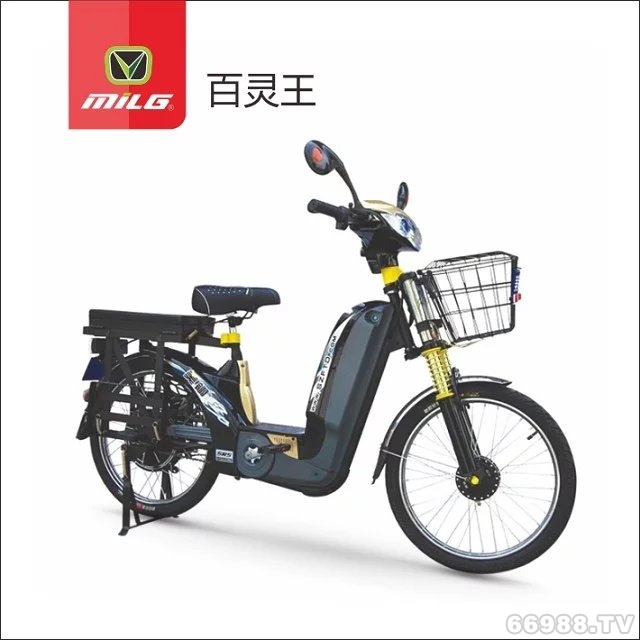 富騰達(dá)美翎百靈王電動(dòng)車(chē)